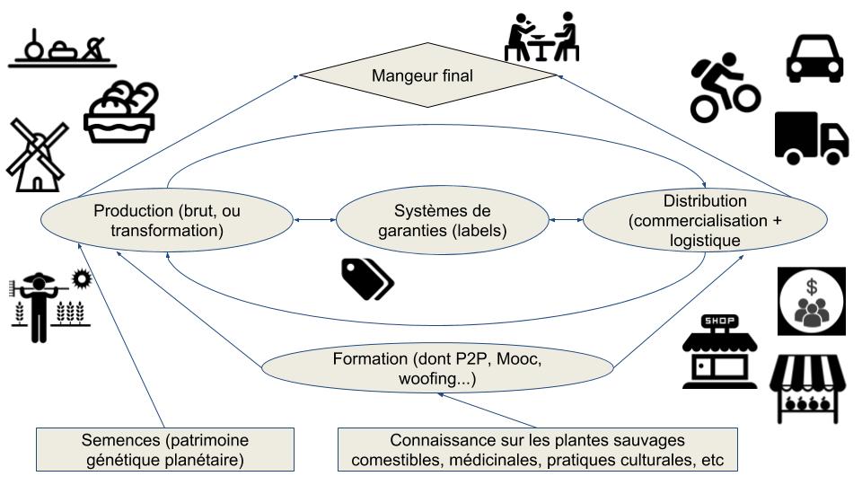 Les communs alimentaires, de la fourche à la fourchette